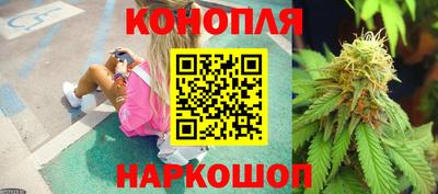крисы Ливны