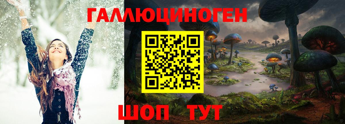 Хасавюрт  Псилоцибиновые грибы мицелий  Вход с VPN 